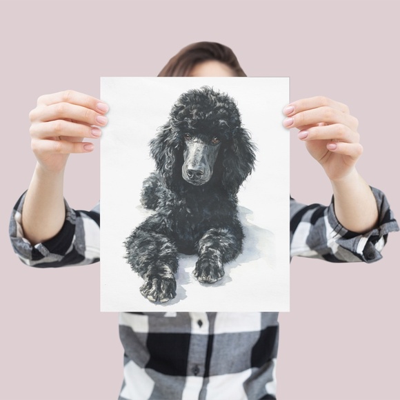 Watercolor Black Poodle Portrait Wall Art Print Poster, Unframed - Pet Artwork - Picture 4 of 6